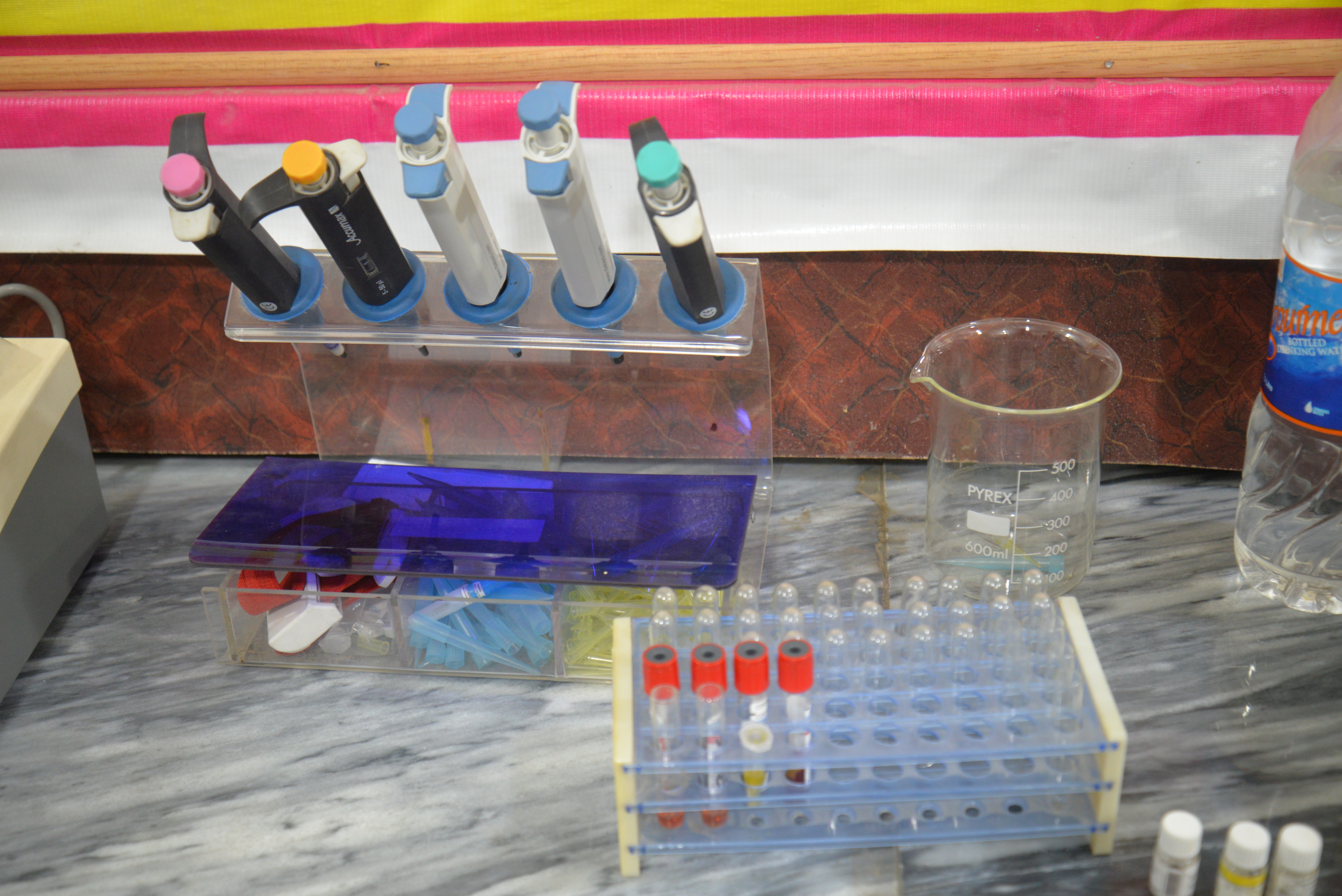 MLT Lab 1